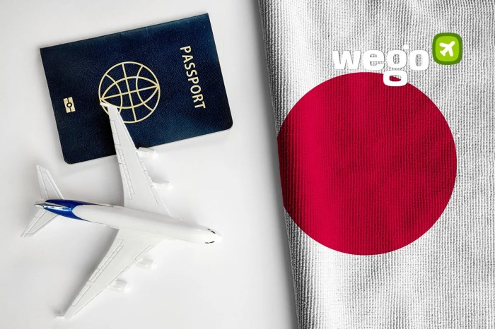 Syarat Jadi TKI Ke Jepang 2025