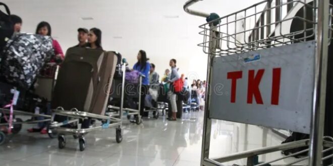 Lowongan Kerja TKI Sopir 2025