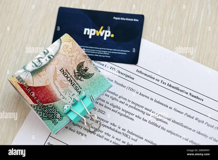Ereg Pajak Cek Npwp 2025
