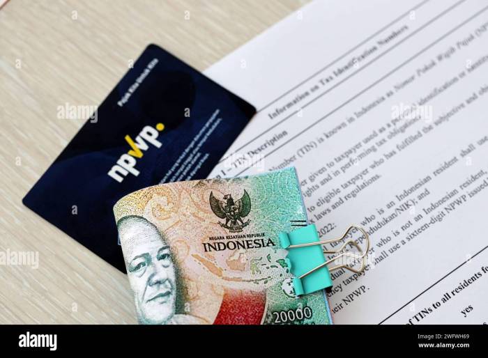 Cara Mendapatkan Efin Pajak 2025