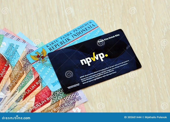 Cara Mendapat Efin Pajak 2025