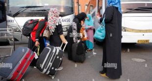 Kabar TKI Arab Saudi Terbaru 2025