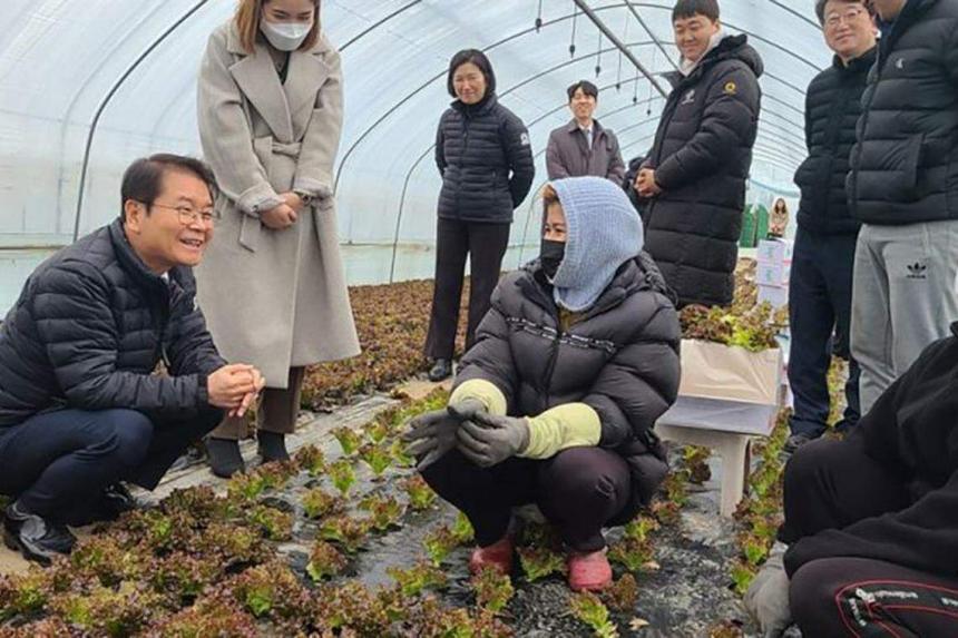 Kerja TKI Di Korea 2025