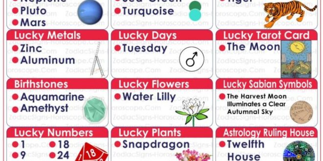 Zodiac horoscope tarot metals