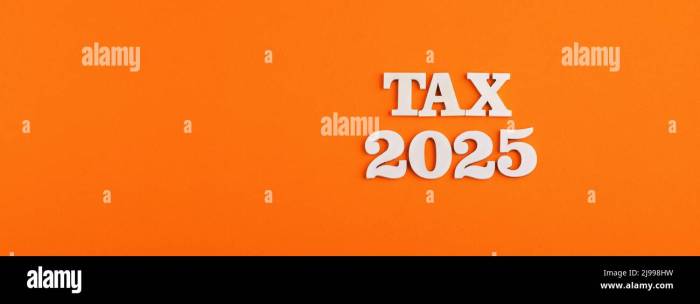Bayar Pajak Motor Berapa 2025