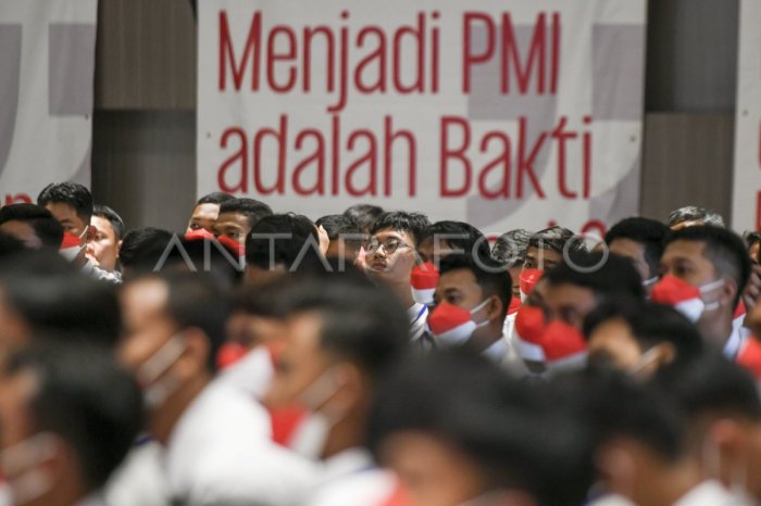 Pt Bahana Penyalur TKI 2025