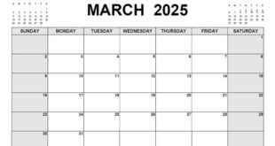 THR Maret 2025 Untuk Tenaga Honorer