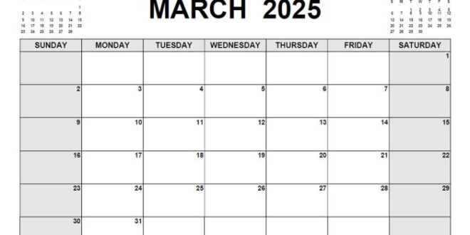 THR Maret 2025 Untuk Tenaga Honorer