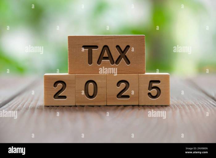Undang Undang Pengadilan Pajak 2025