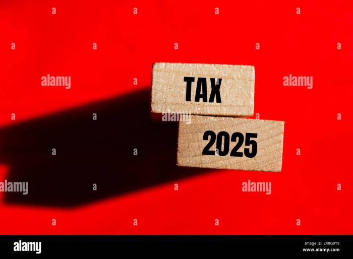 Apa Itu Pemutihan Pajak 2025