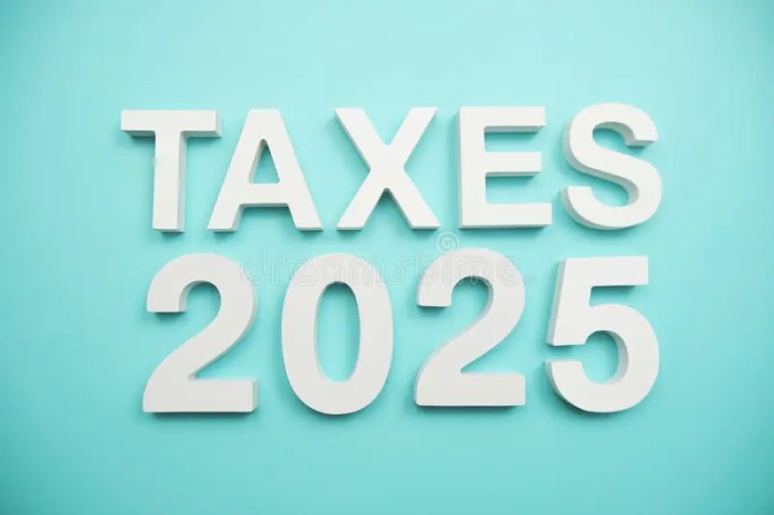 Jenis Jenis Pajak Dan Contohnya 2025