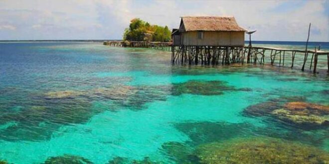 Koperasi Simpan Pinjam Terdekat Tojo Una-Una