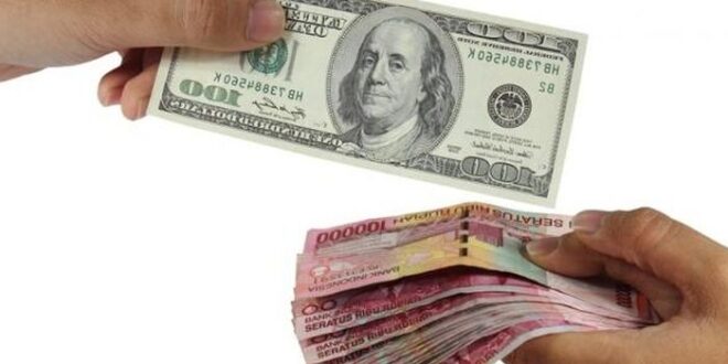 Live Forex Rates 2025