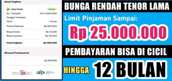 Pinjaman Online Ojk Tanpa Npwp Dan Slip Gaji 2025