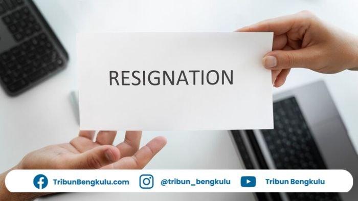 Kata Kata Resign Kerja Lewat Whatsapp 2025