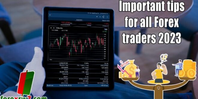Best Forex Traders 2025