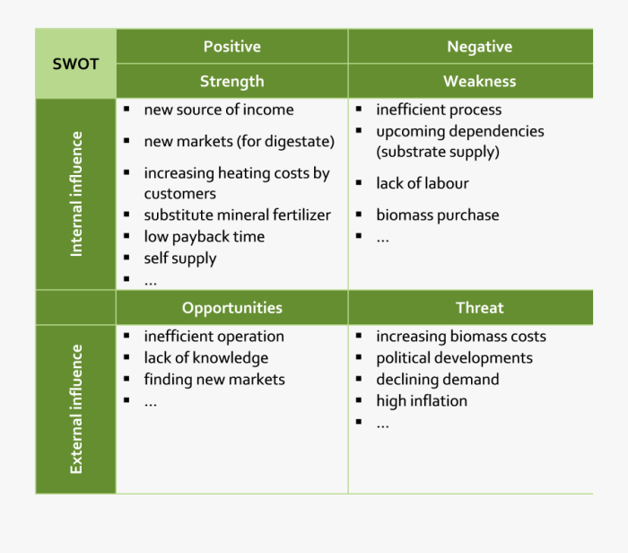 Contoh Analisis Swot Makanan