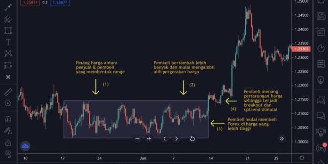 Penjelasan Trading Forex 2025