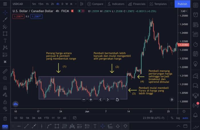Penjelasan Trading Forex 2025