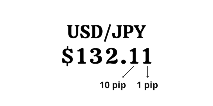 Pip forex trading beginners urdu hindi pips 1 Pip Forex 2025