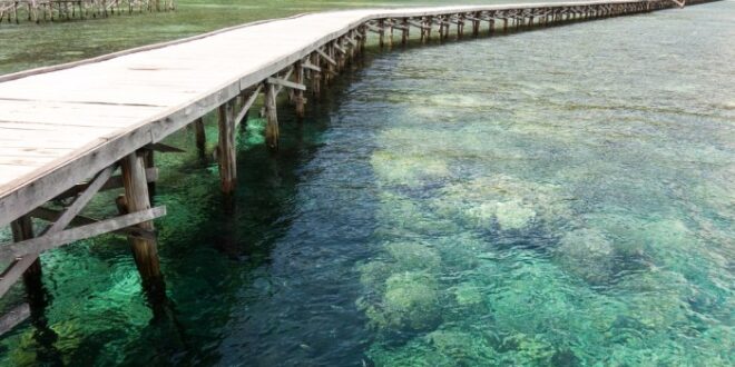 Koperasi Simpan Pinjam Terdekat Maluku Barat Daya