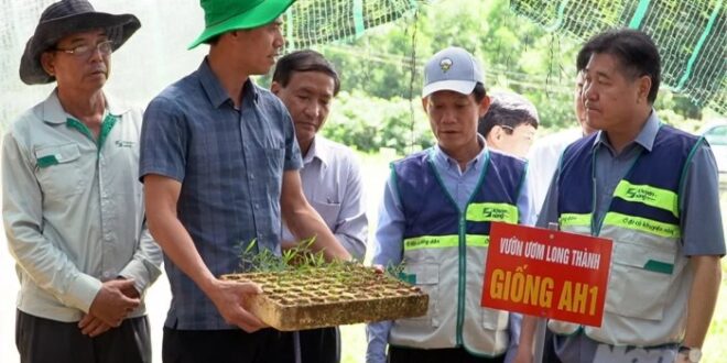 Contoh Programa Penyuluhan Pertanian Tingkat Desa