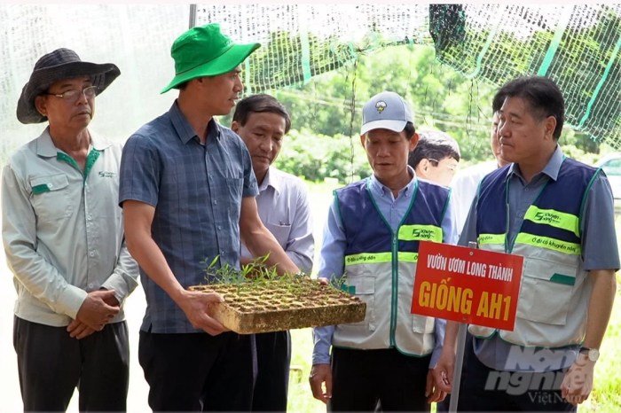Contoh Programa Penyuluhan Pertanian Tingkat Desa