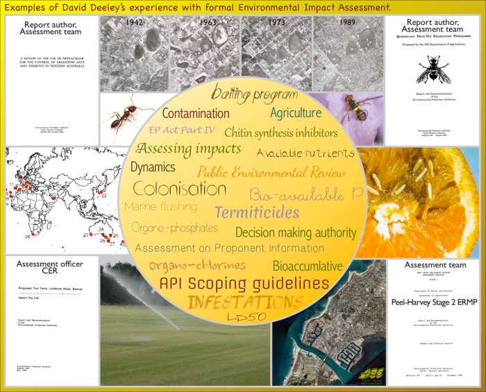 Environmental impact assessment example ppt presentation powerpoint impacts information statements description Contoh Amdal Perusahaan