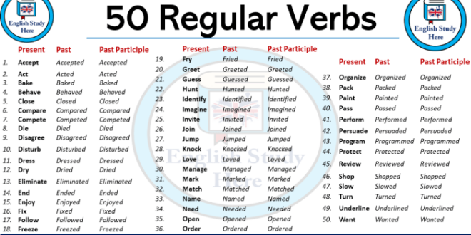 Kata Kerja Regular Verb 2025