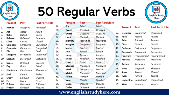 Kata Kerja Regular Verb 2025