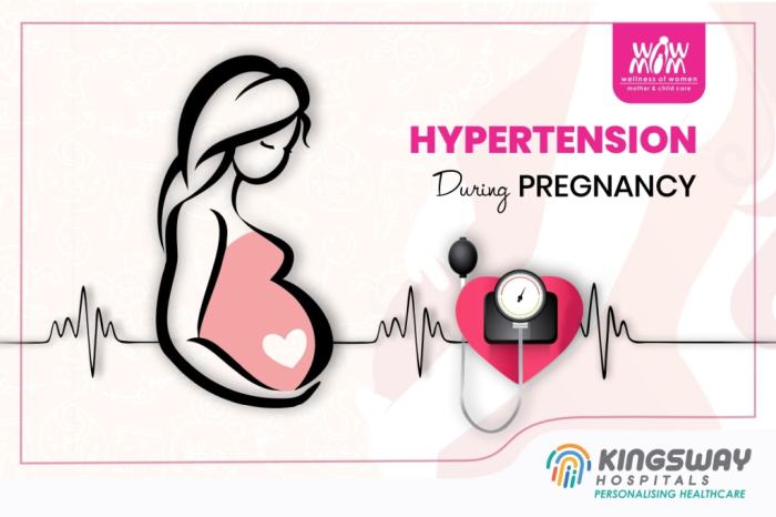Contoh Kasus Ibu Hamil Dengan Hipertensi