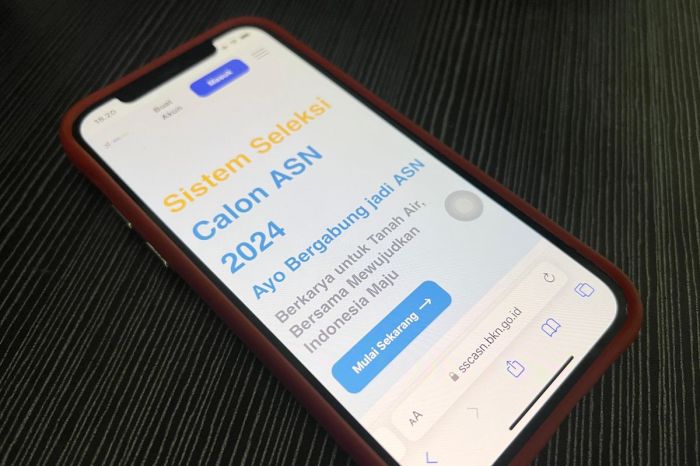 Pendaftaran Akun Pppk 2025