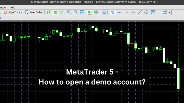 Demo Account Forex Metatrader 2025
