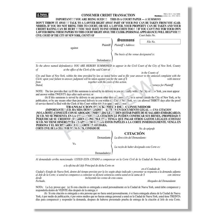 2009 summons court filed relation supreme proceedings then 2009 summons court filed relation supreme proceedings then