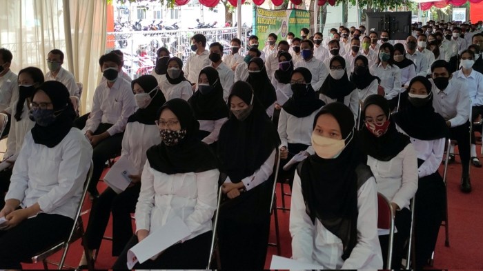 Batas Pendaftaran Cpns 2025