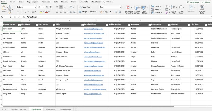 Contoh Database Karyawan Excel