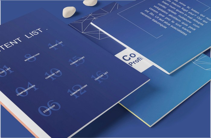 Contoh Buku Profil Desa
