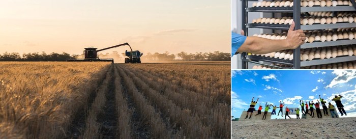 Agen Kerja Perkebunan Australia 2025