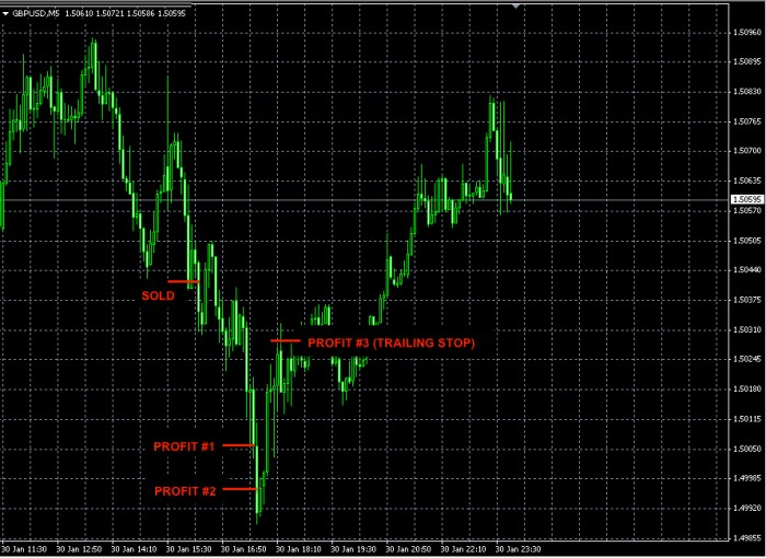 Signal Forex Terbaik 2025
