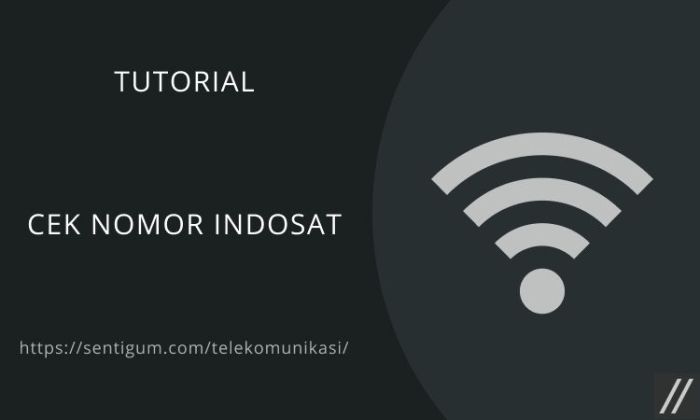 Cek Nomor Indosat 2025