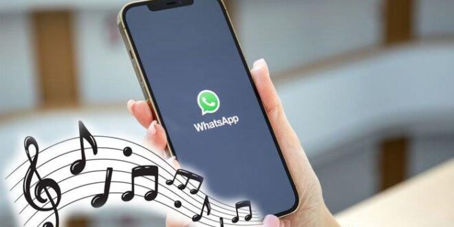Contoh Kata Kata Pemberitahuan Ganti Nomor Hp