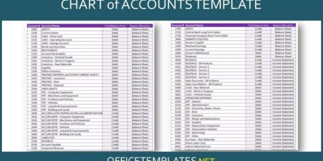 Accounts chart accounting sample company explanation sheet balance bank small table credit assets expenses income business order liability asset revenues