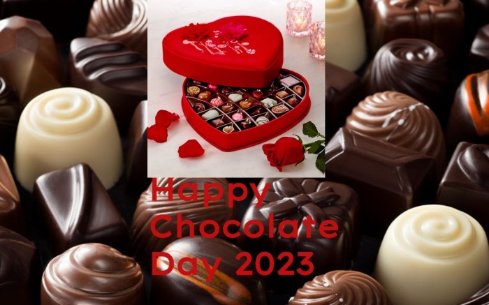 Coklat Hadiah Valentine 2025