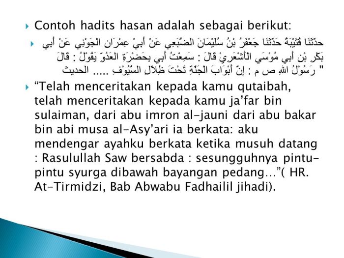 Contoh Hadits Hasan Lidzatihi