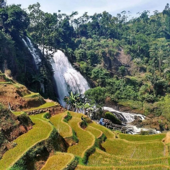 Koperasi Simpan Pinjam Terdekat Cianjur
