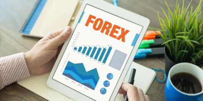 Top Forex Brokers 2025