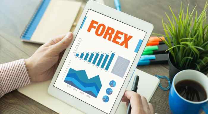 Top Forex Brokers 2025