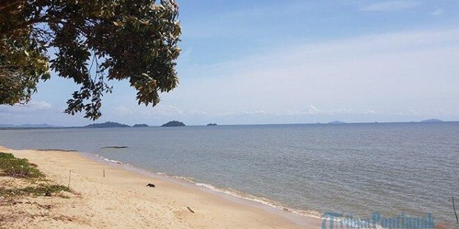Koperasi Simpan Pinjam Terdekat Kayong Utara