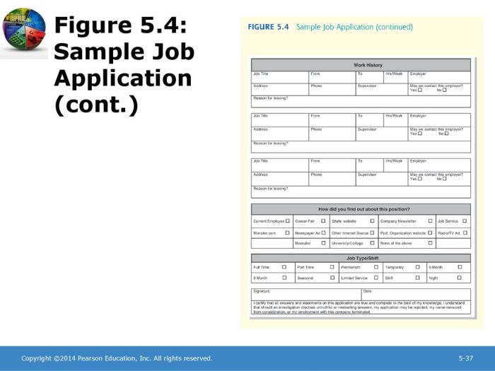 Contoh Pdf Lamaran Kerja 2025