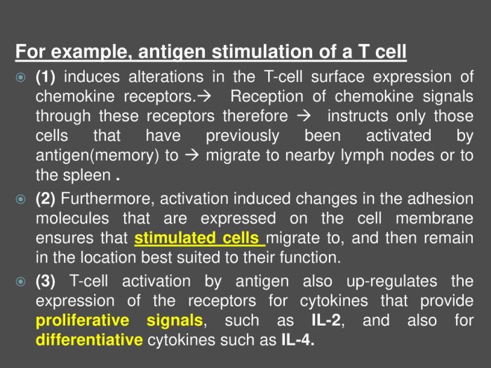 Contoh Surat Antigen